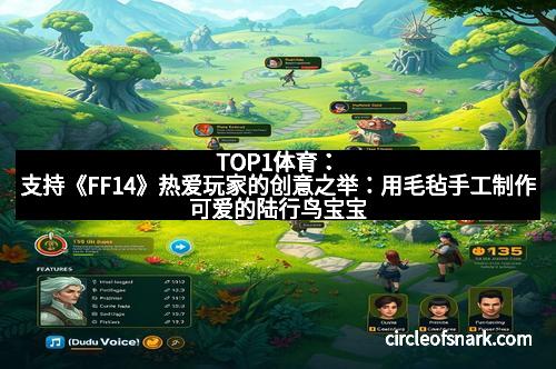 TOP1体育：支持《FF14》热爱玩家的创意之举：用毛毡手工制作可爱的陆行鸟宝宝